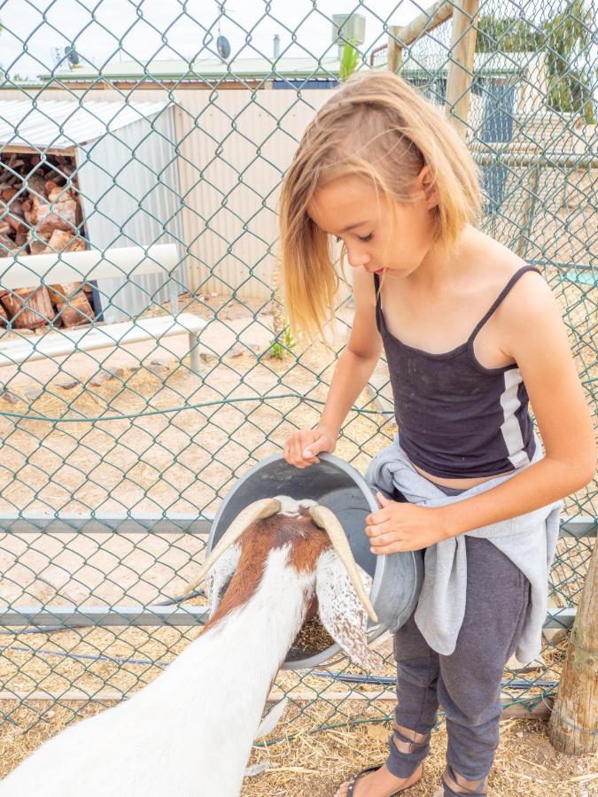 Wallaroo Holiday Park Bagian luar foto